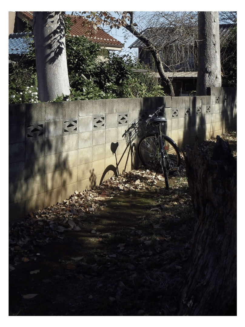 📷オールドコンデジというヤツ(PENTAX optio LS465)｜SATOLog