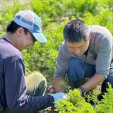 城陽キッズファーム　就職準備隊のわくわくwork