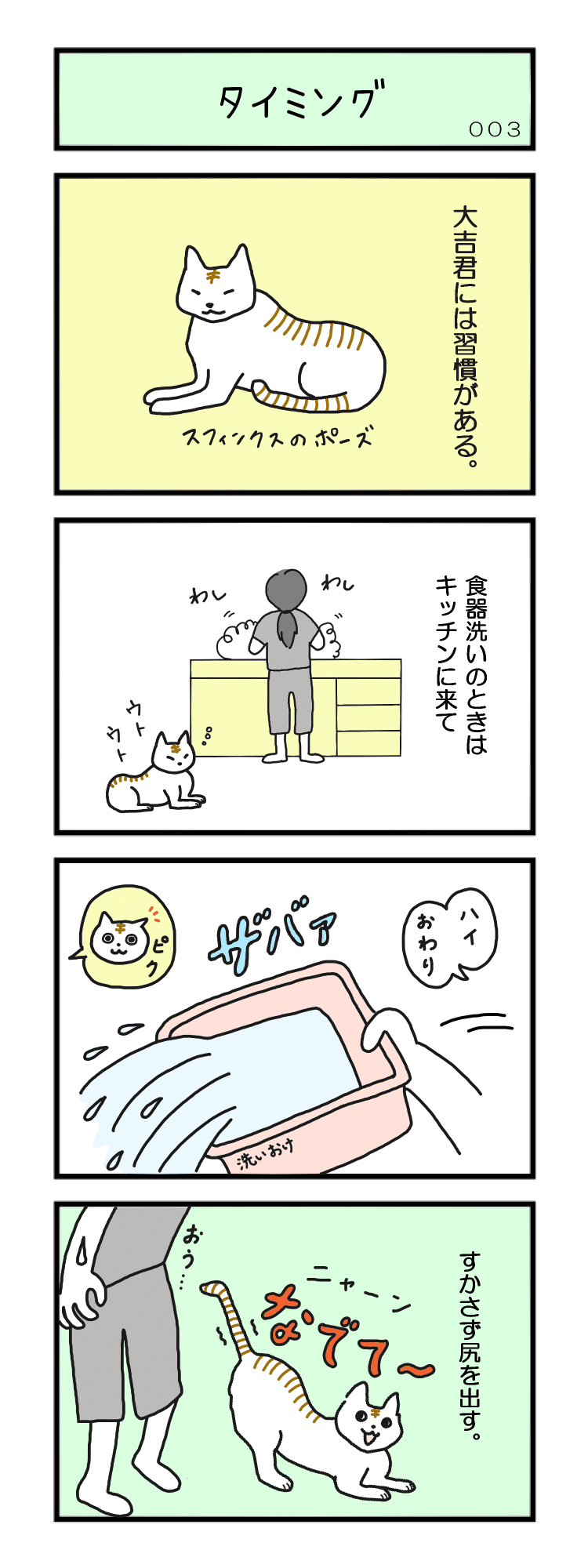 甘えんぼう猫、大吉くんのご紹介です。