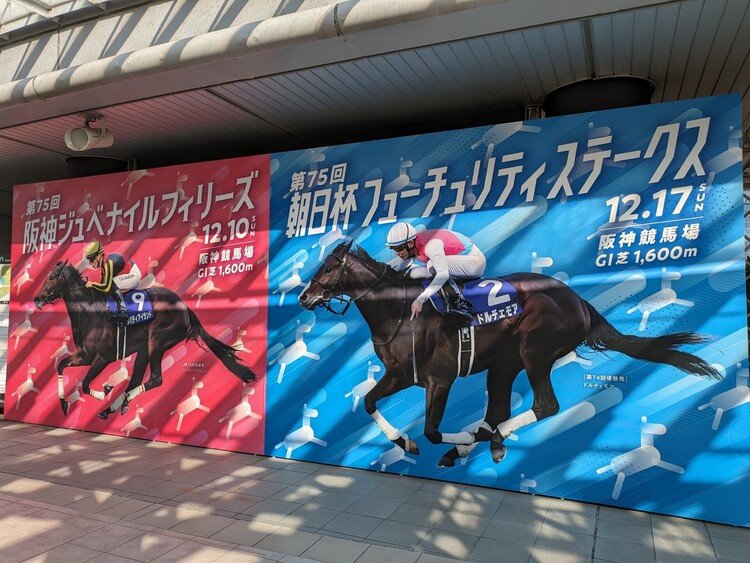 今年2月京都記念を見に来て以来の阪神競馬場です。この日は中京でダートG1チャンピオンズCが行われる日だったので、阪神はG1の裏開催。重賞もないので人出も少なめ