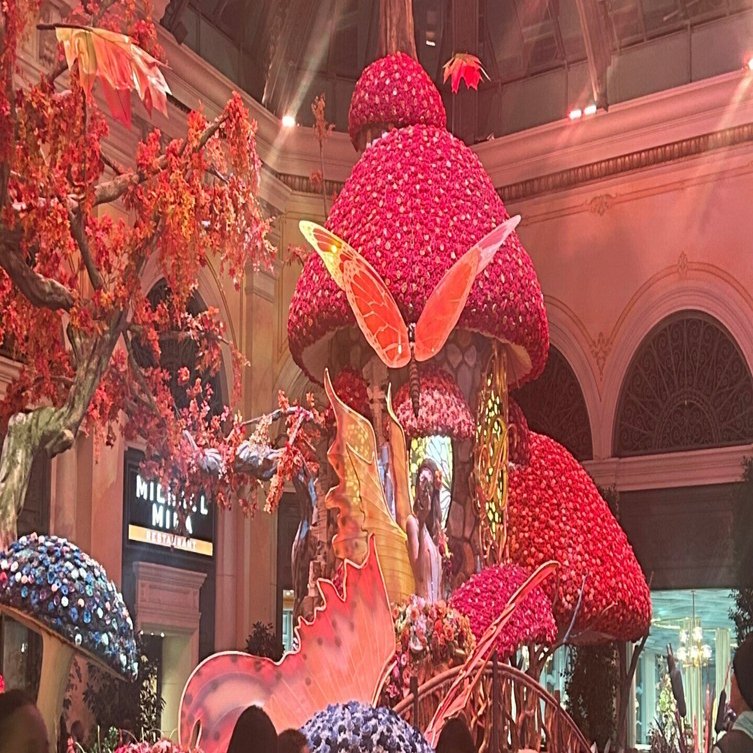 ラスベガス旅行 いくらかかったか｜yoshinori kato