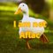 not Aflac