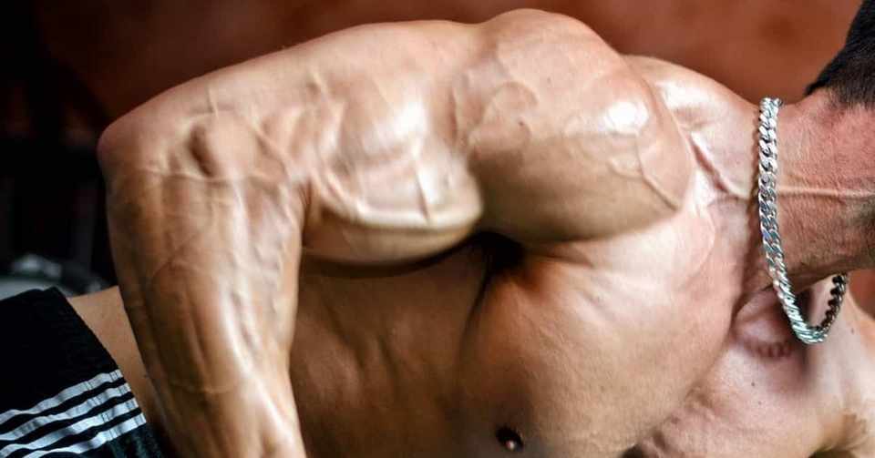 筋トレのトリセツ 上腕三頭筋のトレーニング Hiro Note