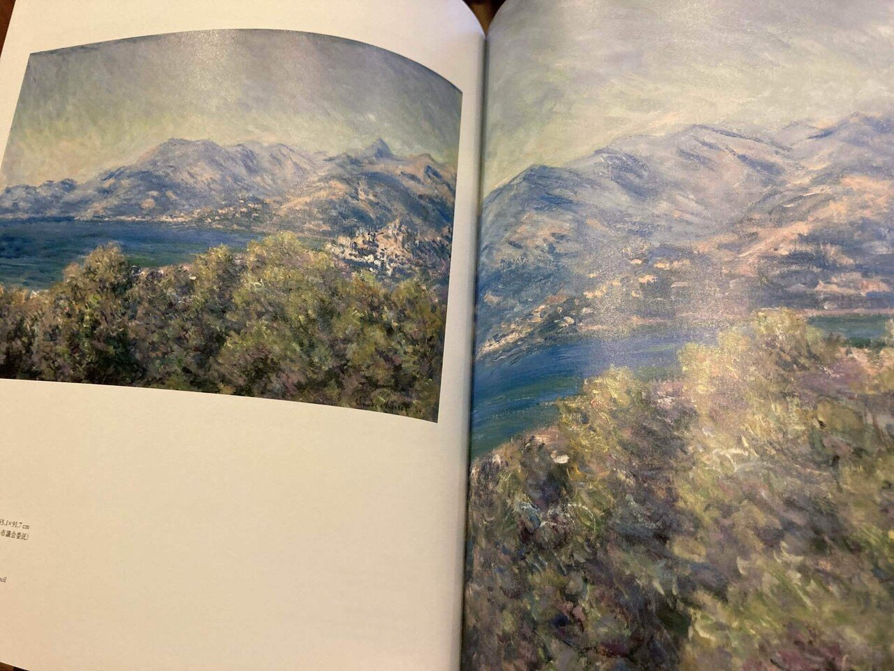 上野ひとり旅① 「モネ 連作の情景」展 図録を読んで振り返る