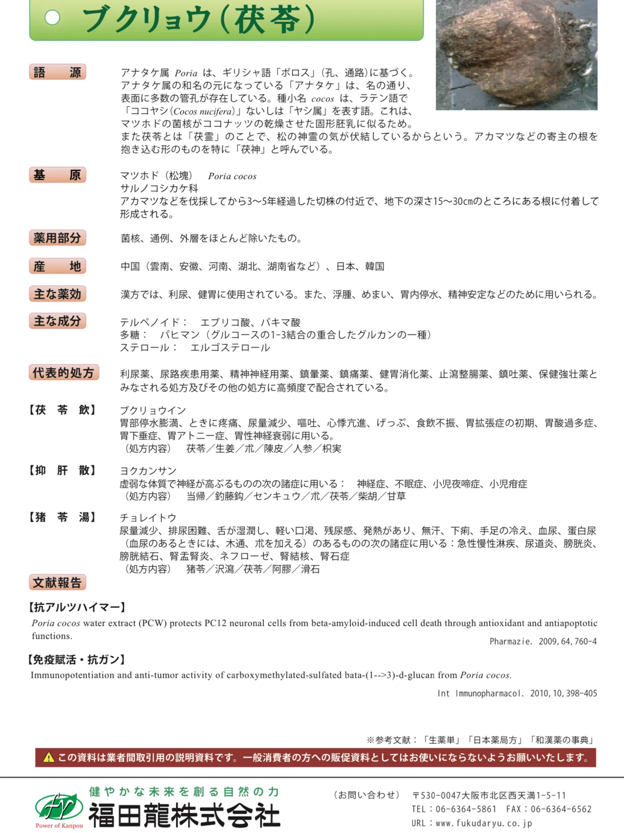 さるのこしかけ 松寄生 さるのこしかけ 松寄生 さるのこしかけ 松寄生
