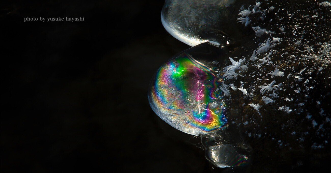 写真家 林祐介|note