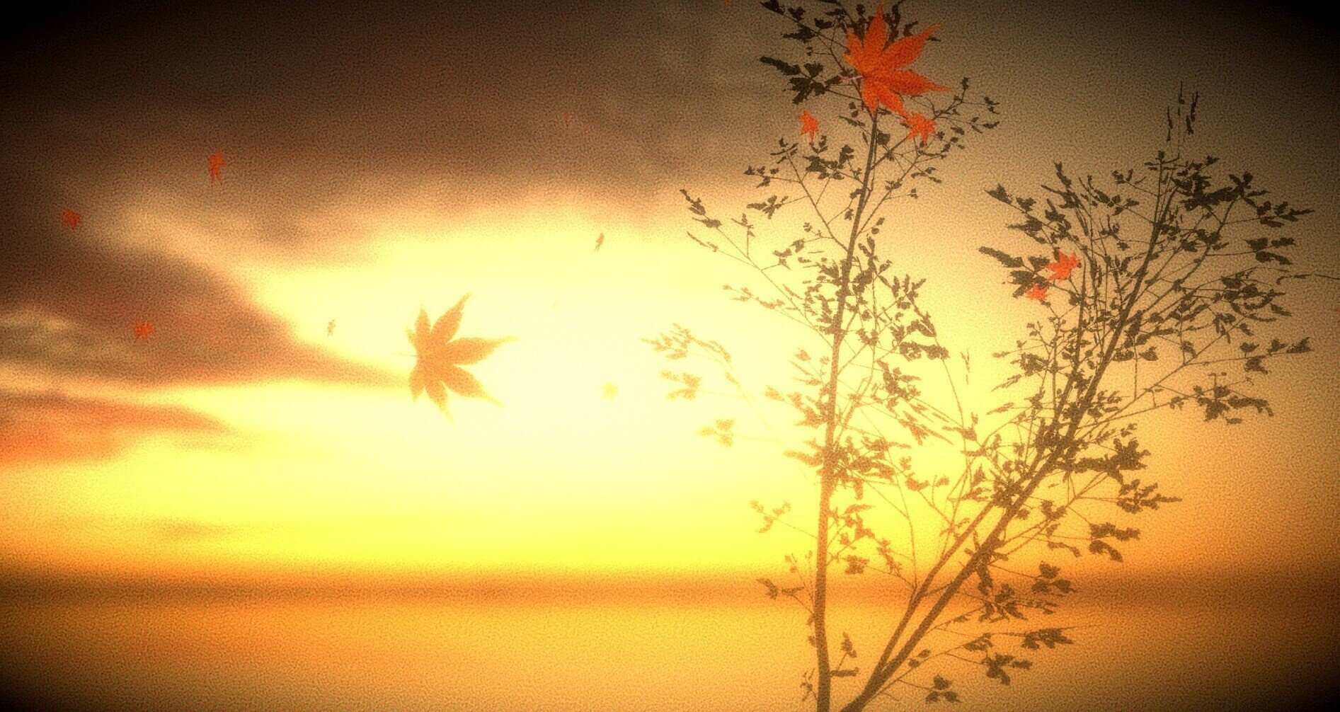 やまちゃん様　参考用 20250722_ymnbr_1920x1080.jpg?