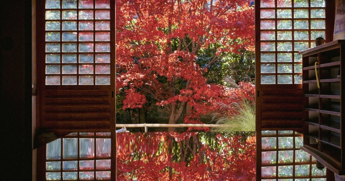 京都暮らしの紅葉巡り。グラデーションで移り変わる日々