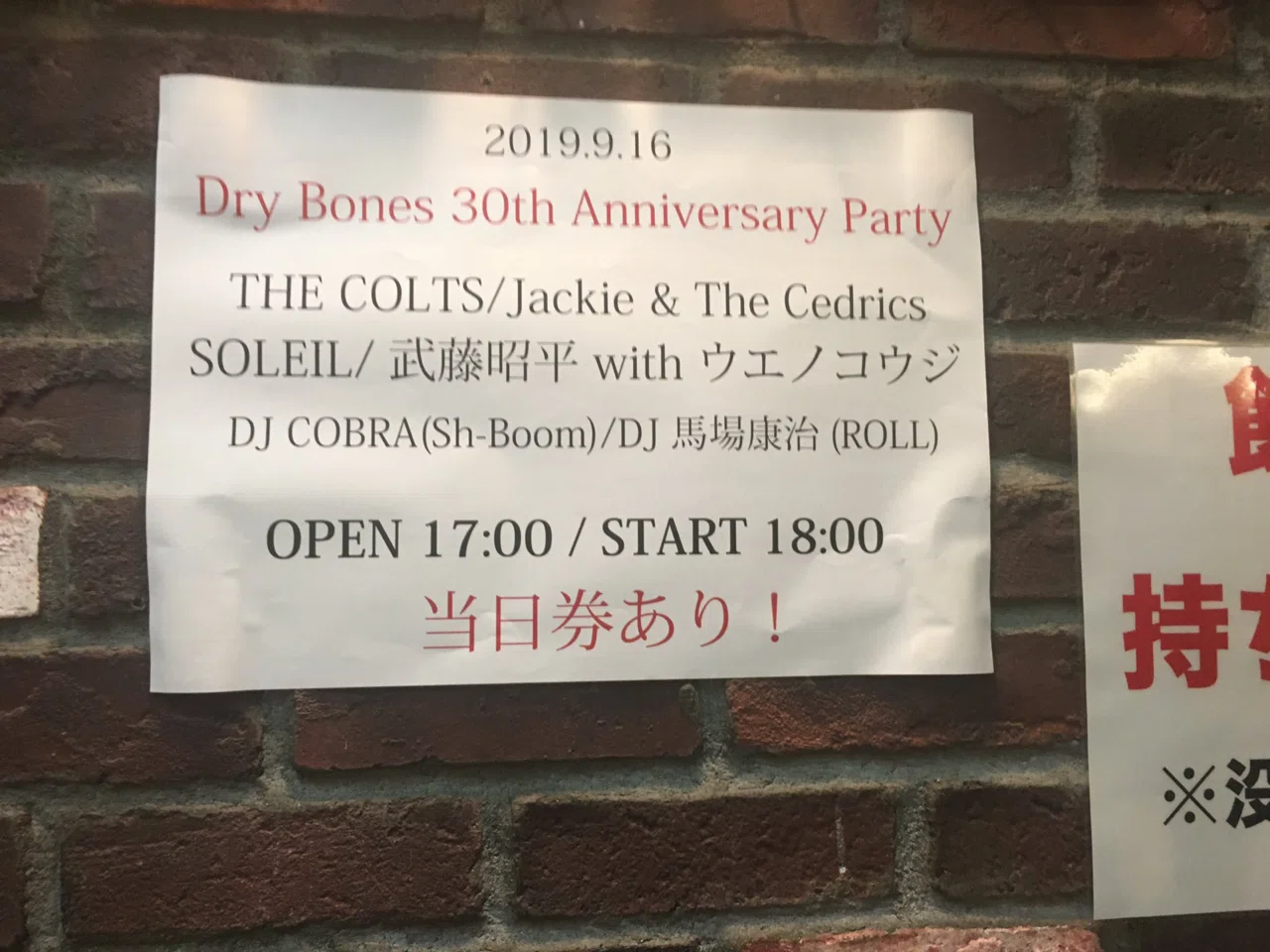 私と、チバユウスケと、The Birthdayと、ミッシェル・ガン