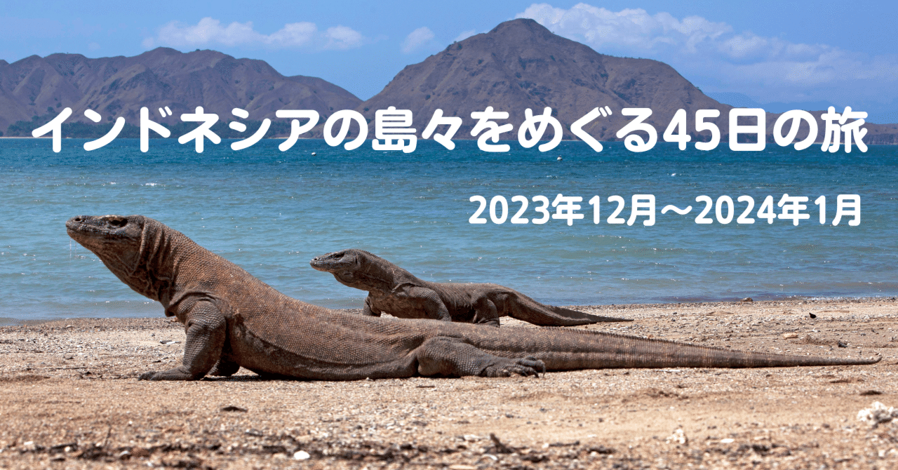 インドネシア　ヌサトゥンガラ諸島　サウ島イカット。 インドネシア全34州の旅】#30 西ヌサトゥンガラ州 スンバワ島へ、2枚