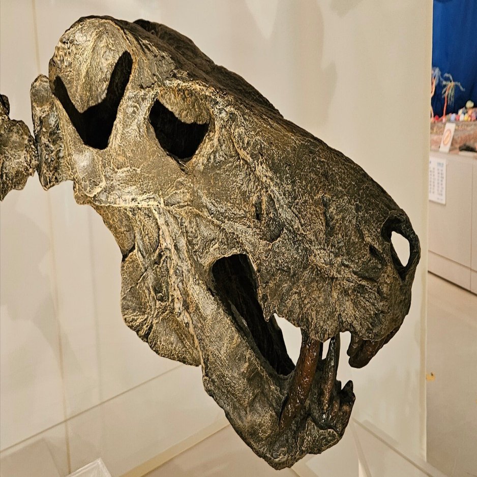 The Lost Universe 巨大単弓類④巨大肉食性獣弓類｜美原さつき