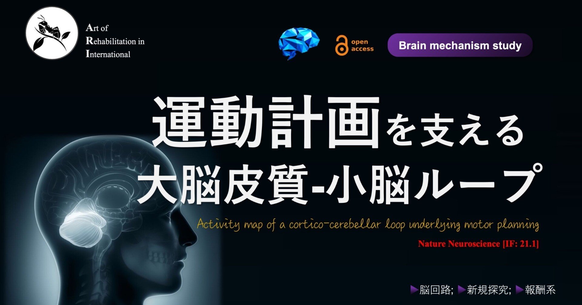 運動計画を支える大脳皮質-小脳ループ｜Super Human | 理学療法