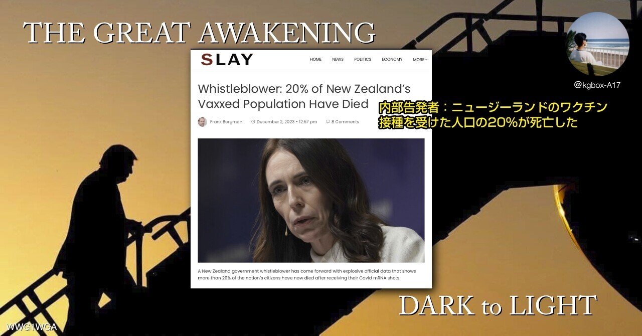 kgbøx-A17_1_THE_GREAT_AWAKENING___DARKtoLIGHT_NZ_毒注射接種者の20_が死亡_