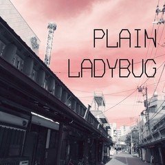 PLAIN LADYBUG_demo