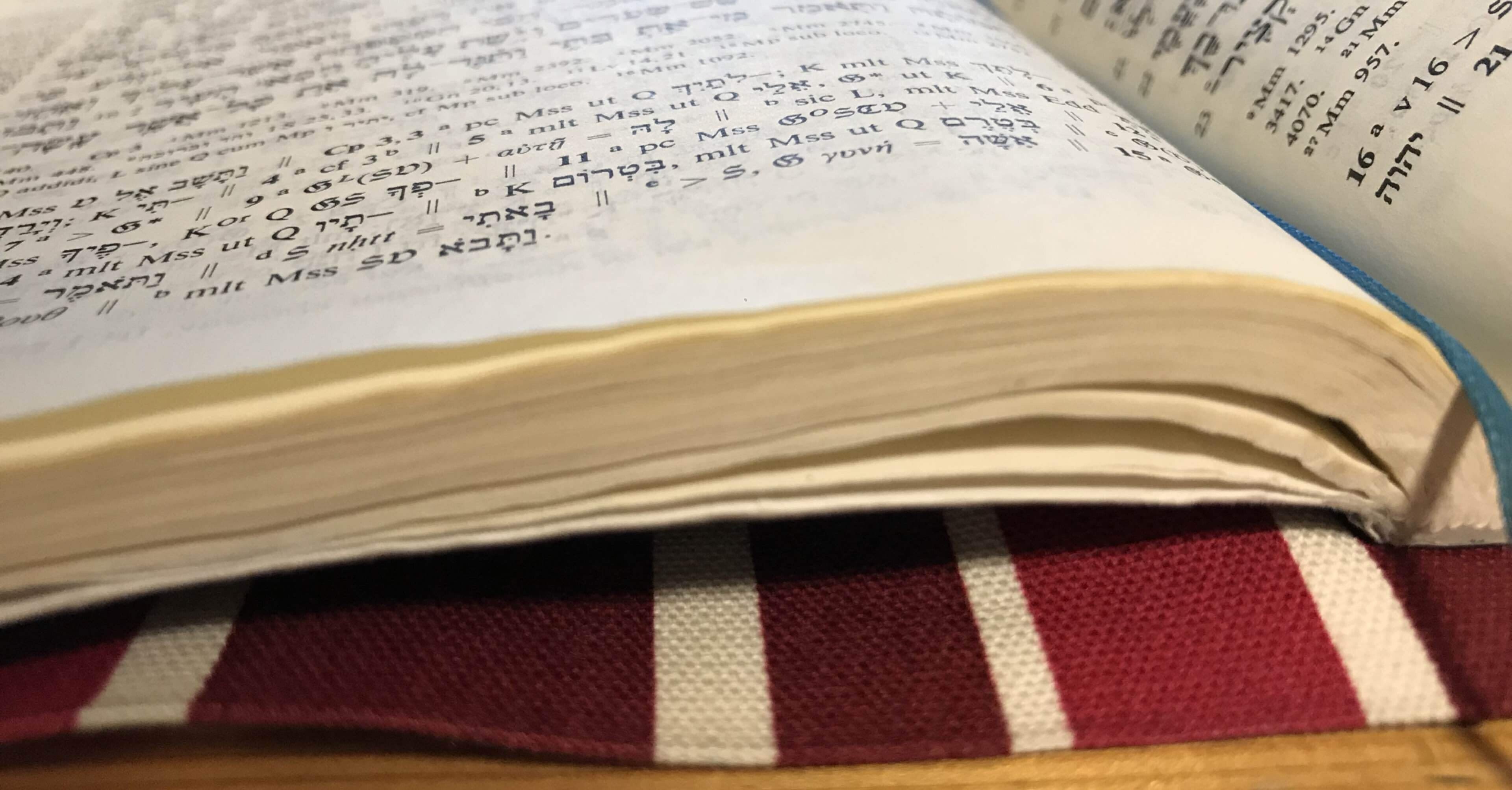 Biblia Hebraica Stuttgartensiaの購入について｜足袋田クミ｜聖書系Vtuber