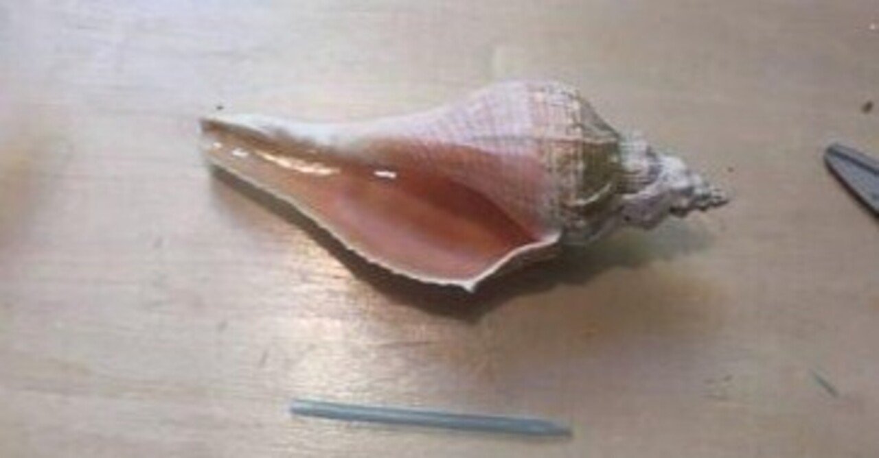 ホラ貝の音ってどうなっているの？｜Medico-tec 科学館の装置をつくる会社