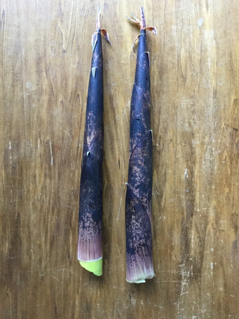 野草食日記 73 真竹のメンマとセロリの和え物 なな艸 Note 野草食日記 73 真竹のメンマとセロリの和え物 なな艸 Note