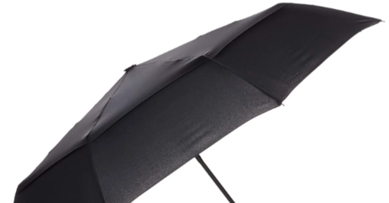 Wind and rain resistant, and easy to use! I recommend the Amazon Basics ...