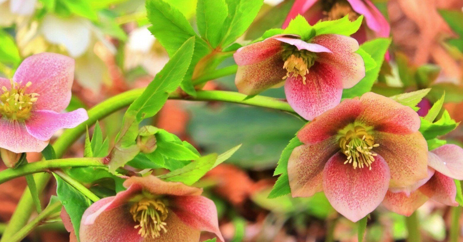 c46f108f06da4affe7b3497d651898