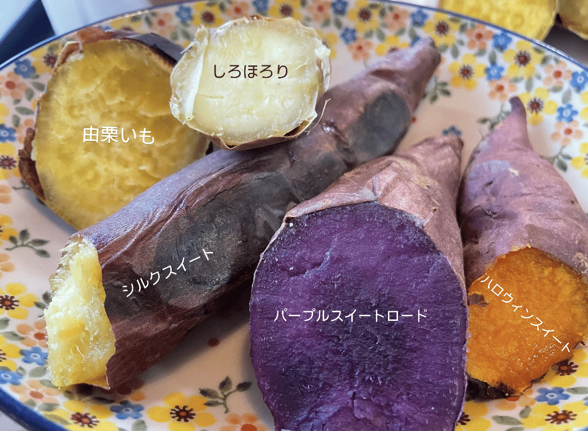 【岡山産】福地ホワイト6辺　香り・栄養満点　料理好き＆健康志向の方へ　6キロ 岡山産】福地ホワイト6辺 香り・栄養満点 料理好き＆健康志向の方