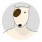 犬