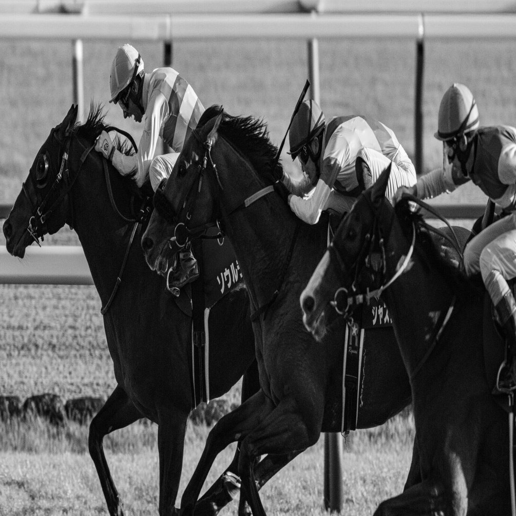 今からでも間に合う！！競馬場で便利なカメラと映える撮影方法｜枕木らくま