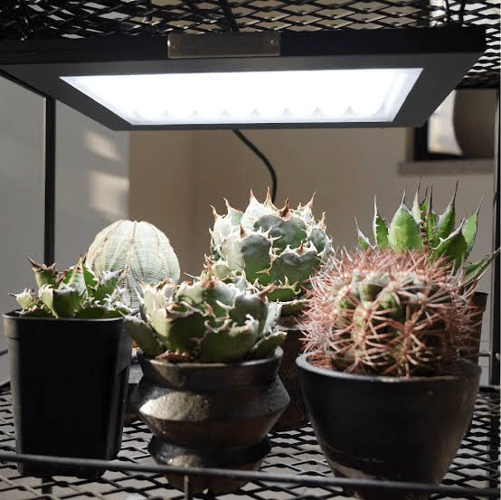 BRIM(ブリム) PANEL X 植物育成ライト LED パネル 2枚セット BRIM(ブリム) PANEL X 植物育成ライト LED パネル 2枚セット