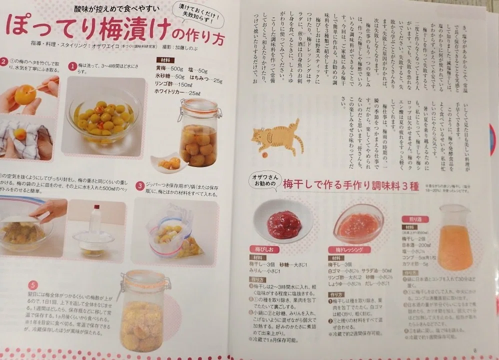 梅干し最強レシピ』で梅仕事を紹介しました。｜Ozawa Eiko