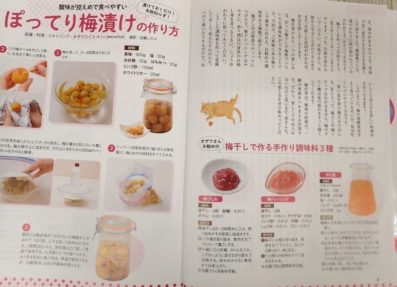 梅干し最強レシピ で梅仕事を紹介しました Ozawa Eiko Note