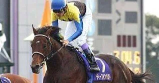 単勝馬券 現地 2005年 ディープインパクト 有馬記念 輝かしき 2着時