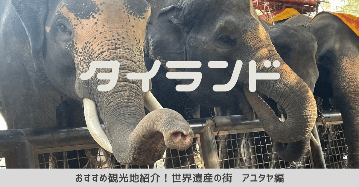 現地タイで購入した陶器の象 初めてのタイ旅行おすすめ観光地〜