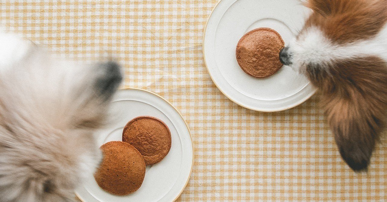 材料3つ きなこと卵で作るパンケーキ 手作り犬おやつレシピ いちかわあやこ 犬ごはん先生 Note