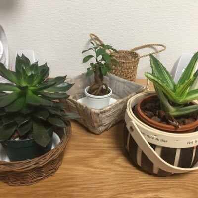 備忘録、或いは置土産」アメス様軸門宝枝プリコネについて｜カズ