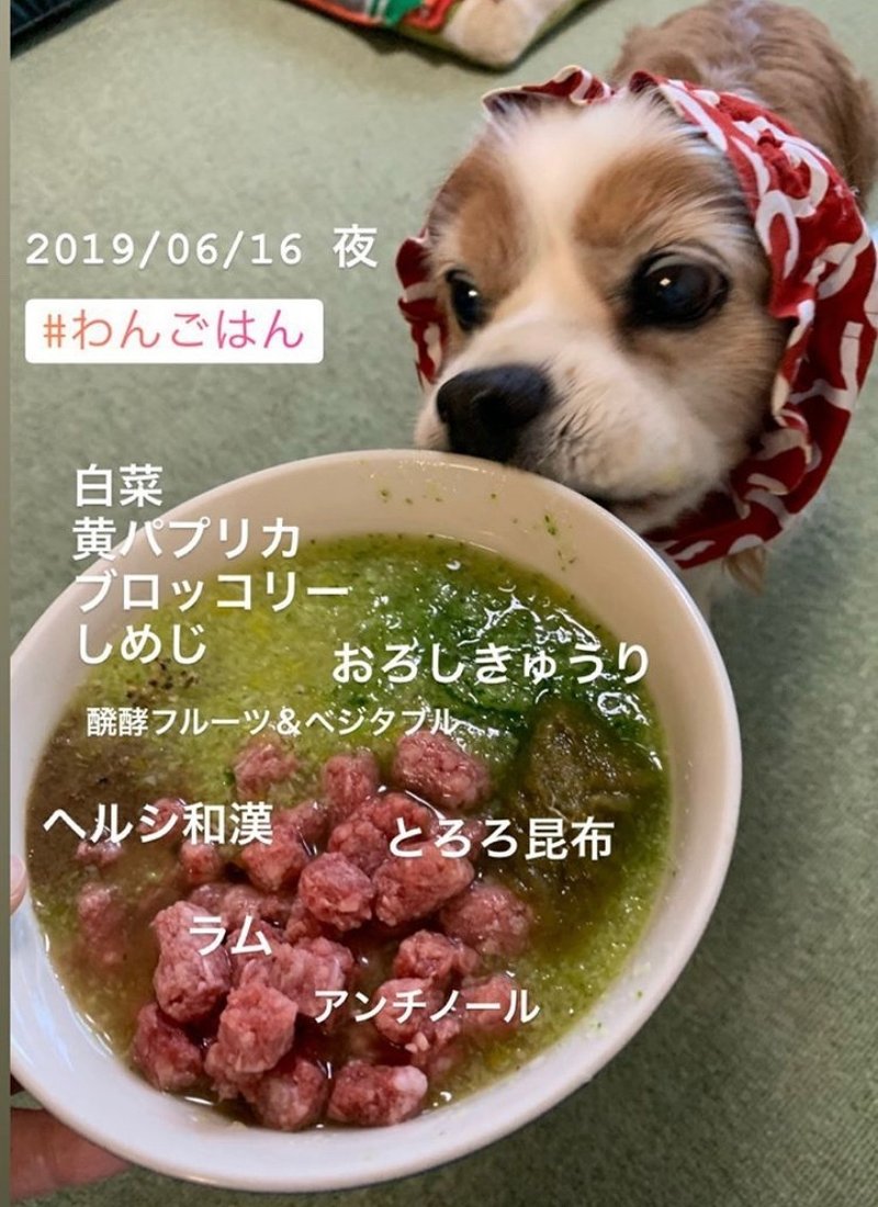 わんごはん入門講座 かまちゃん Note