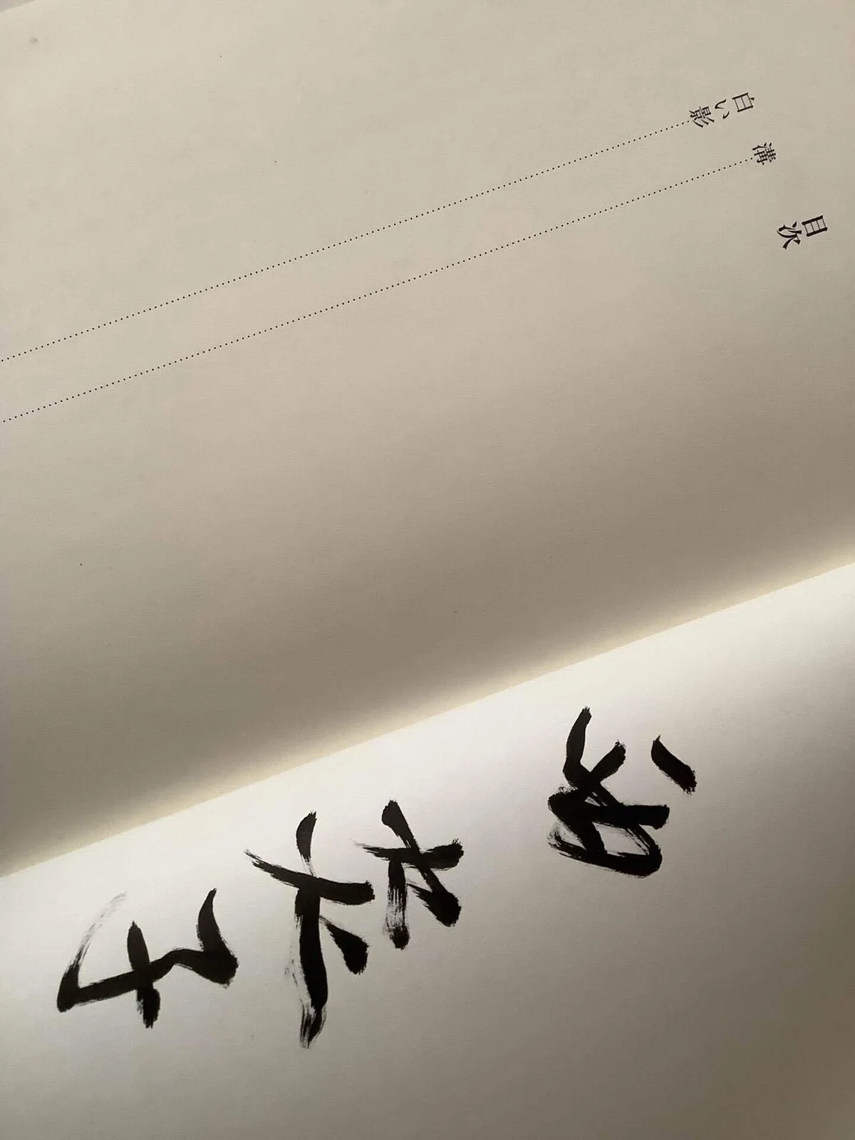 大絵描き『西炎子』の小説を曖昧絵描きが紹介したい[その2]｜弘生