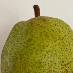 宇宙将棋｜白井剛史／プリミ