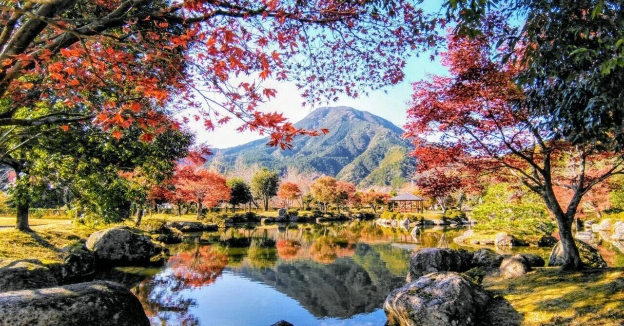 東紀州「種まき権兵衛の里の紅葉 2023」【四季折々の花、草木】〈名所