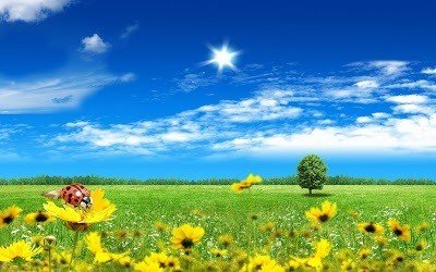 石の魔物と恨みと後悔を手放す方法 Emily Note 石の魔物と恨みと後悔を手放す方法 Emily Note