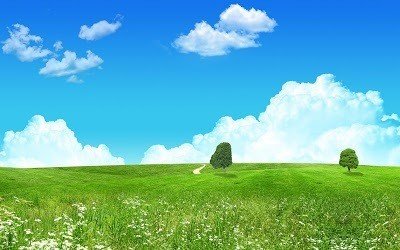石の魔物と恨みと後悔を手放す方法 Emily Note 石の魔物と恨みと後悔を手放す方法 Emily Note