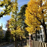 上京大学生の365日