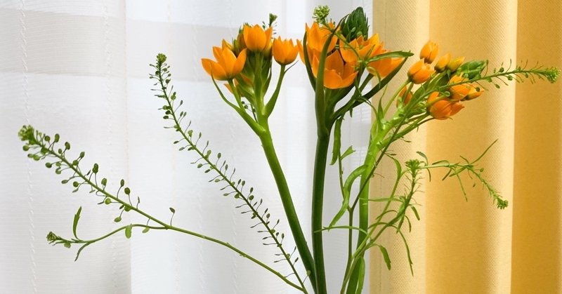 気づいたら お花屋さんでビールを飲んでいた くりたまき Note 気づいたら お花屋さんでビールを飲んでいた くりたまき Note