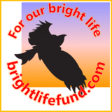 Bright Life Fund @投信による地道な安全資産運用