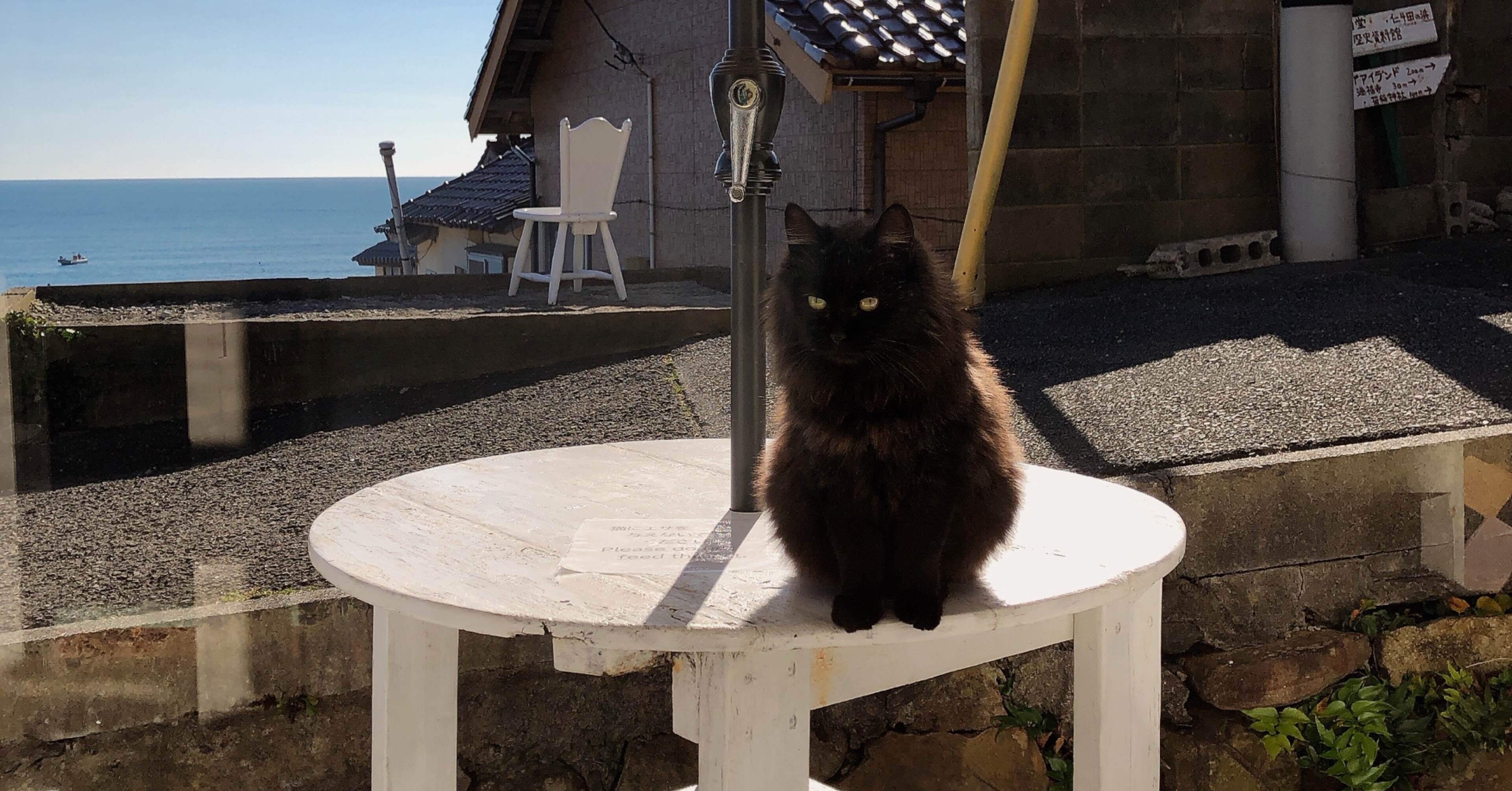 803d89696fccc8f912662f474f555a