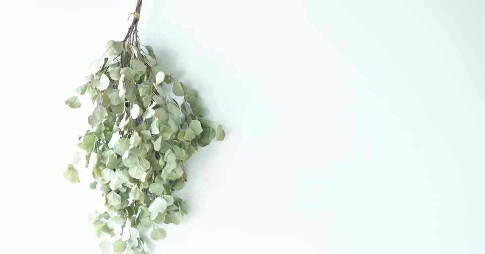 メンタルクリニックでの勤務 始まる 臨床心理士への随録 心理学 Cocoro No Cacari Note