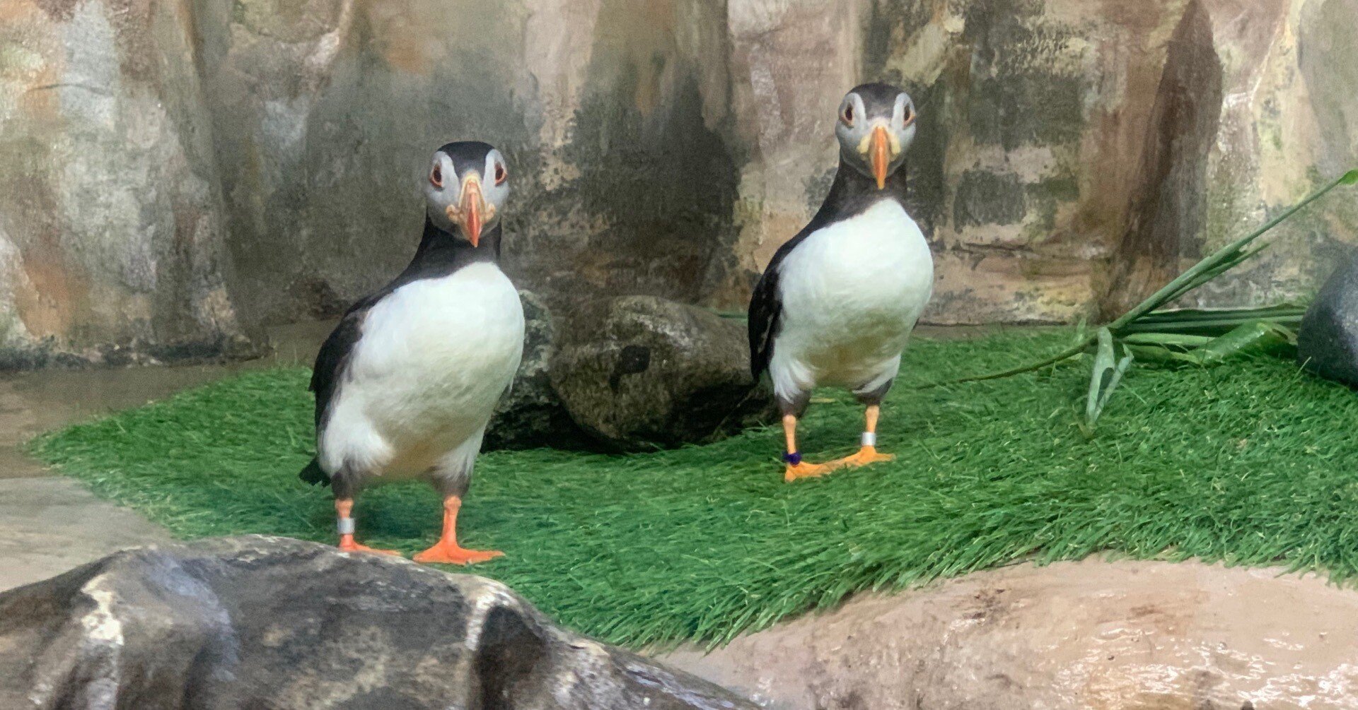 2f0107dc1c6bcbc8208b772d1c528c