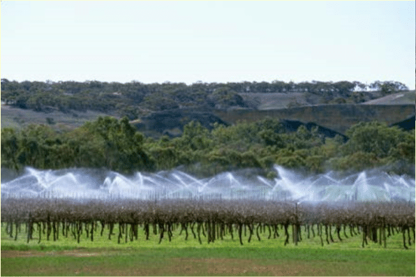 ブドウ栽培での灌漑方法と特色 奥村 嘉之 Winehacker Note