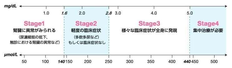 腎不全の猫と長く生きるために（５）｜宮子あずさ（看護師＆著述業）｜note