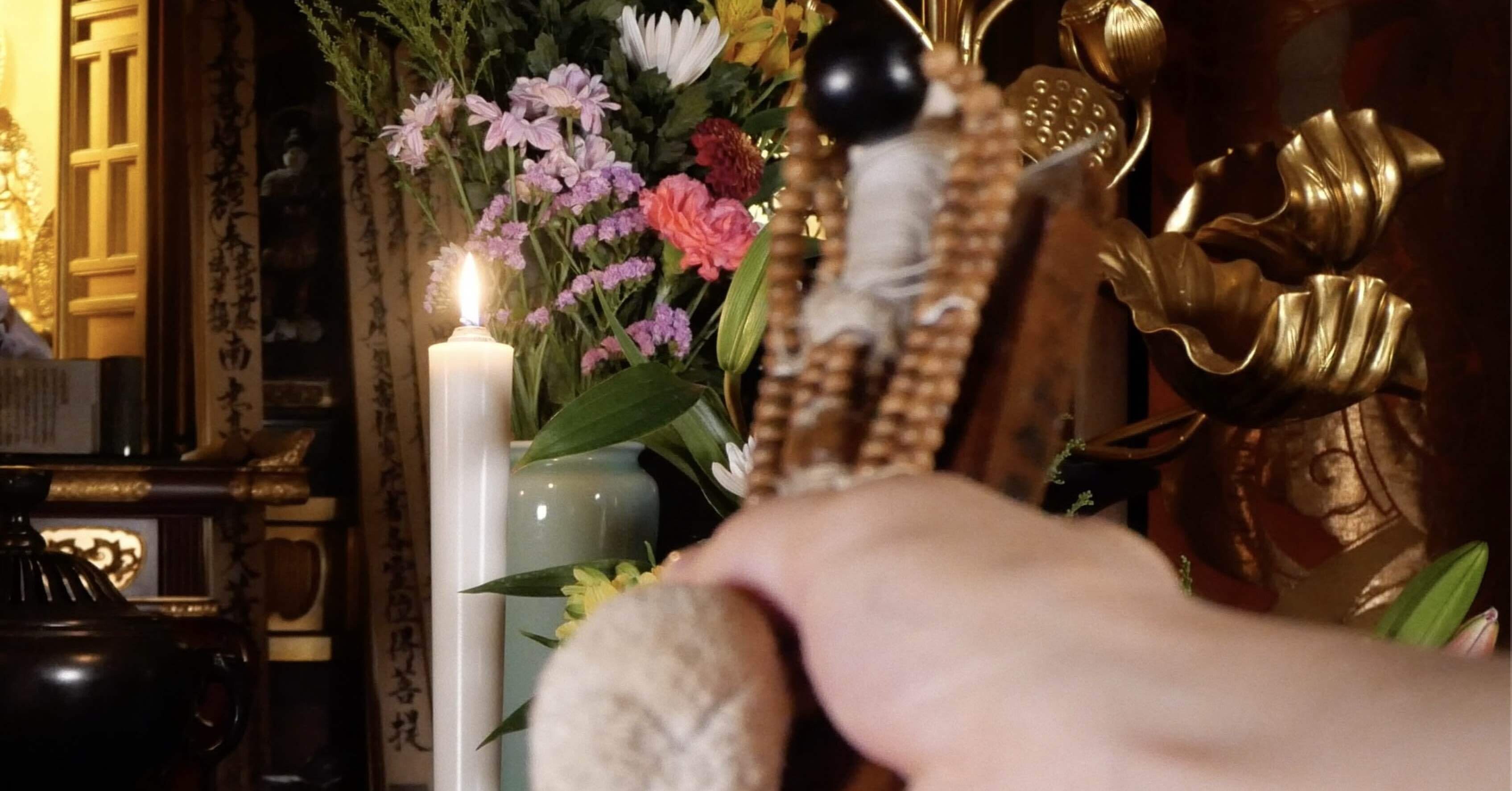 7d978c4d9a355f9a8ffcd783a00cb5