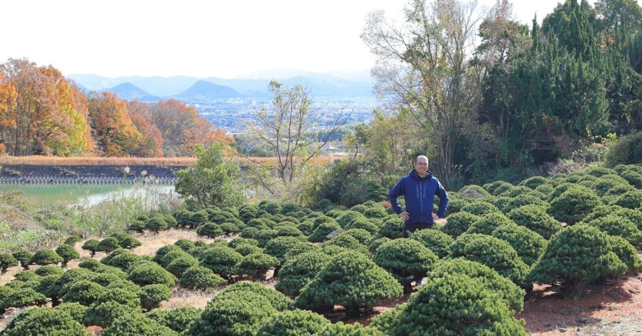 【高松市】ふるさと納税で盆栽のパトロンになる方法|盆栽マン