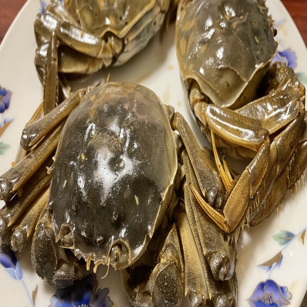 目黒・学芸大学前で上海蟹を堪能できる”中国料理 味味(ミミ)”｜尾形